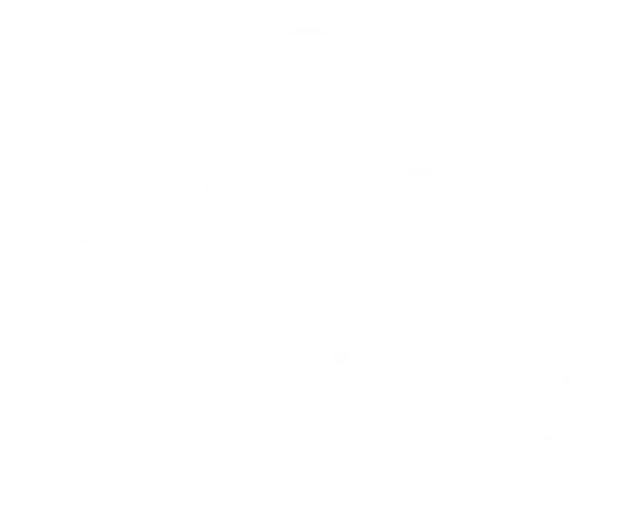ACI Mobility